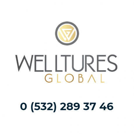 welltures-global-big-0